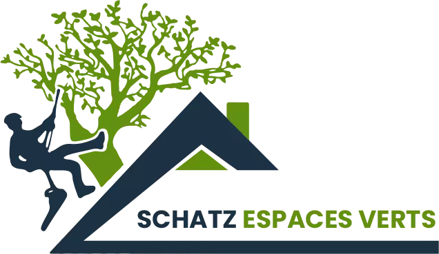 Logo SCHATZ Jean Dominique